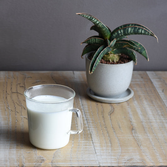 CAST ミルクマグ 310ml